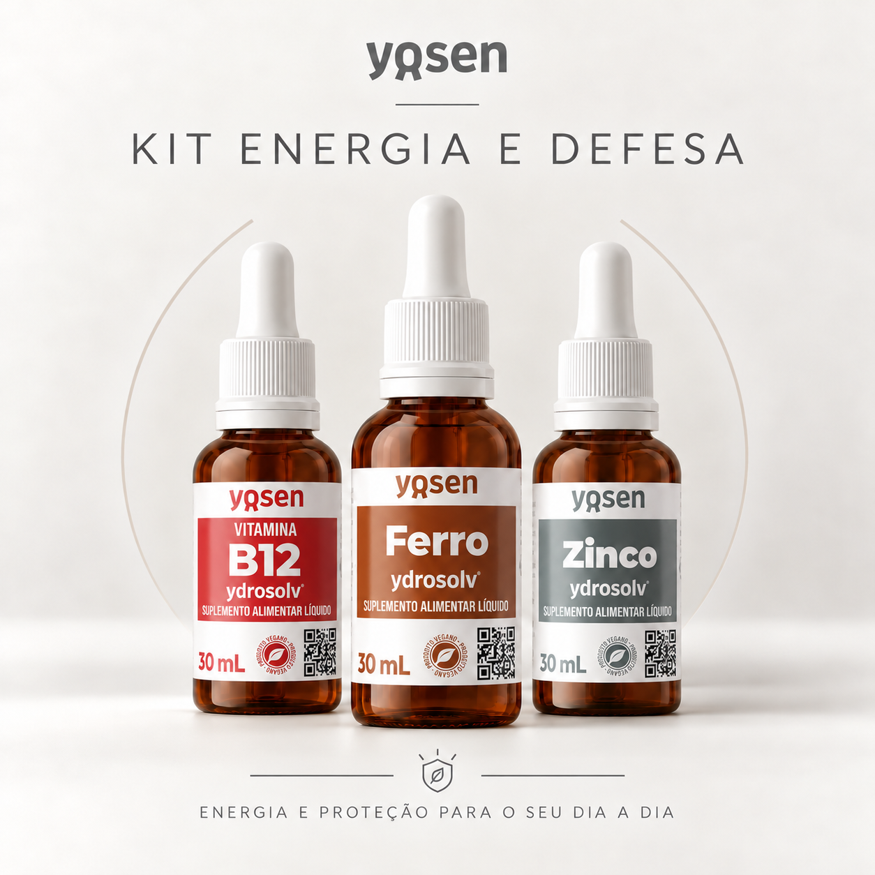 Kit Energia & Defesa - B12, Ferro e Zinco